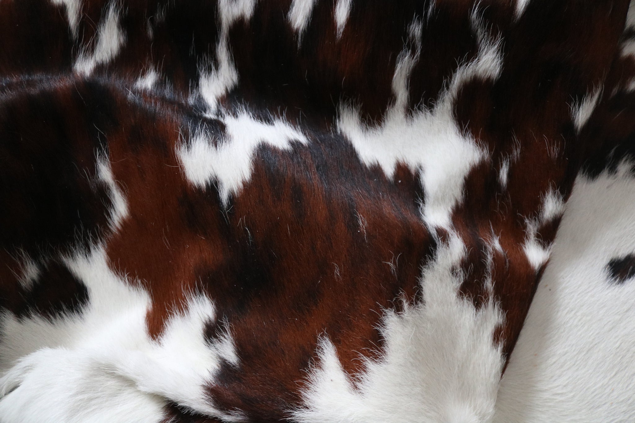 99727- Cowhide Rug -  TRICOLOR  Premium Collection