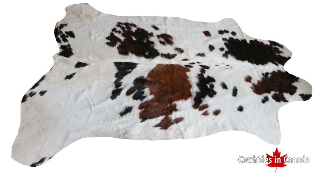 99728- Cowhide Rug -  TRICOLOR  Premium Collection