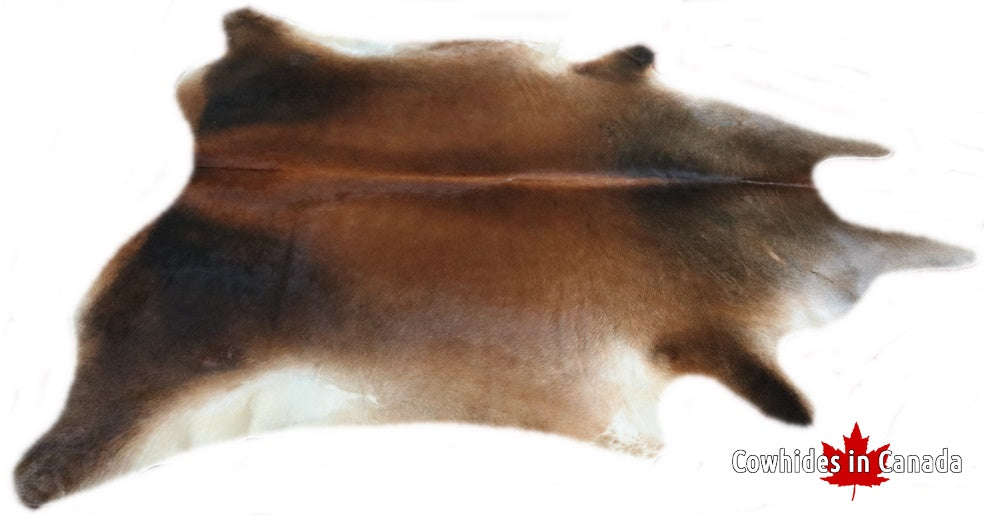 A 95015  Cowhide rug Collection Cowhides in Canada XXXL SUPER BIG SIZE