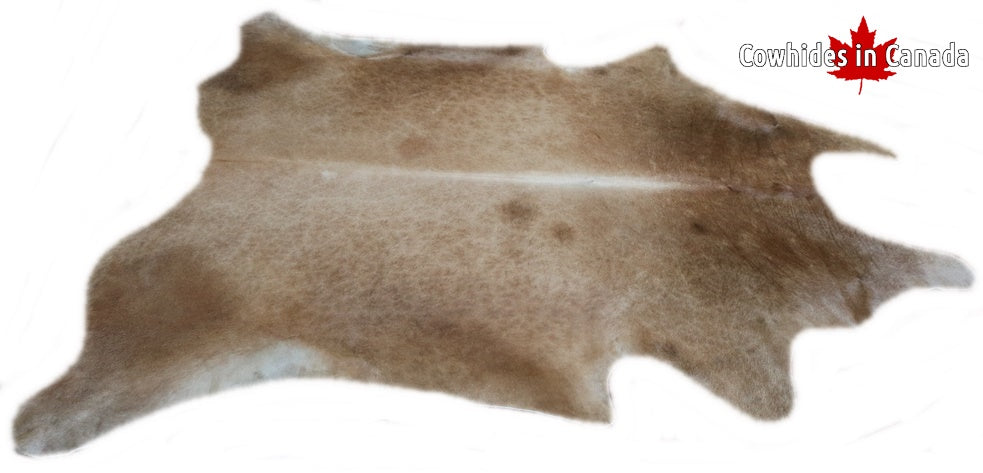 A 95016  Cowhide rug Collection Cowhides in Canada XXXL SUPER BIG SIZE