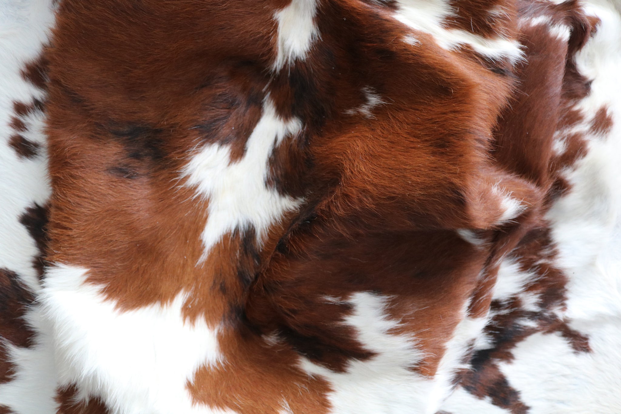 99730- Cowhide Rug -  TRICOLOR  Premium Collection