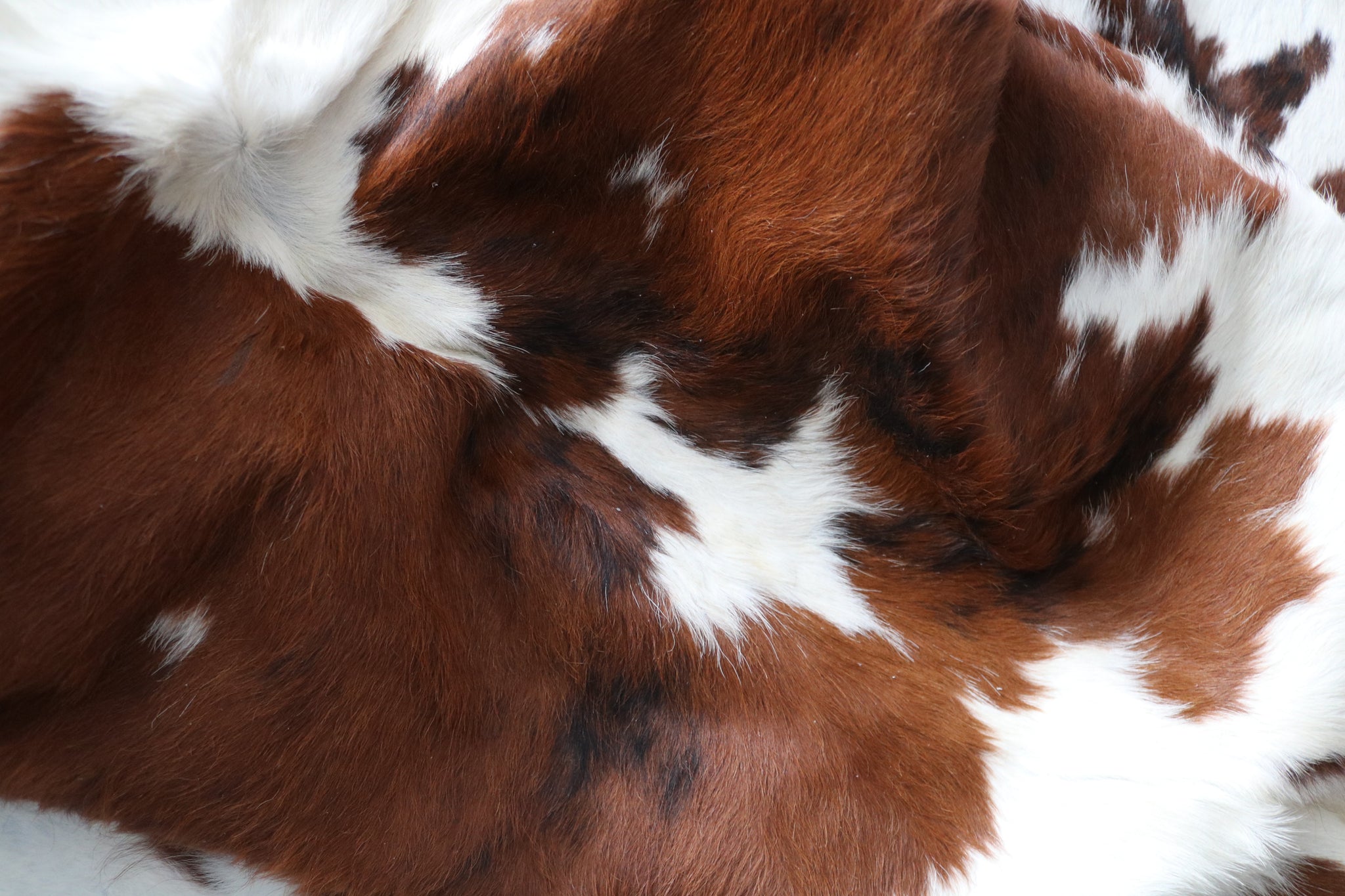 99730- Cowhide Rug -  TRICOLOR  Premium Collection