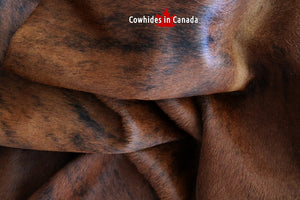 A 95017 Cowhide rug Collection Cowhides in Canada XXXL SUPER BIG SIZE