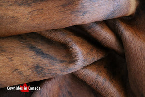 A 95017 Cowhide rug Collection Cowhides in Canada XXXL SUPER BIG SIZE