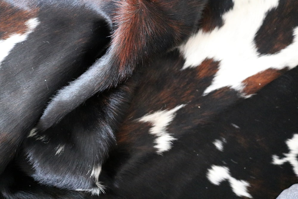 Big Real XXXL Cowhide Rug Tricolor. Premium Collection. Code 98137