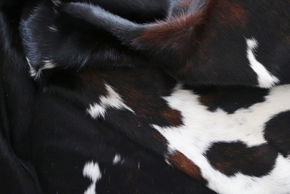 Big Real XXXL Cowhide Rug Tricolor. Premium Collection. Code 98137