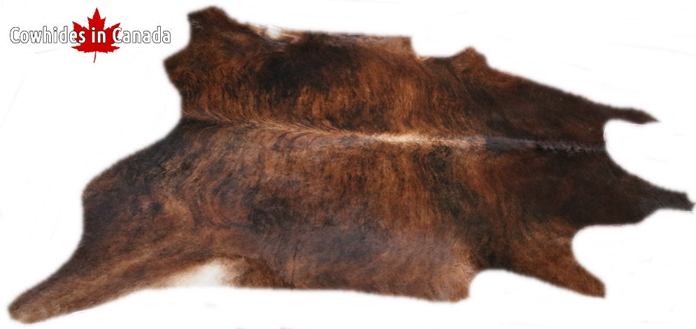 A  95019  Cowhide rug Collection Cowhides in Canada XXXL SUPER BIG SIZE