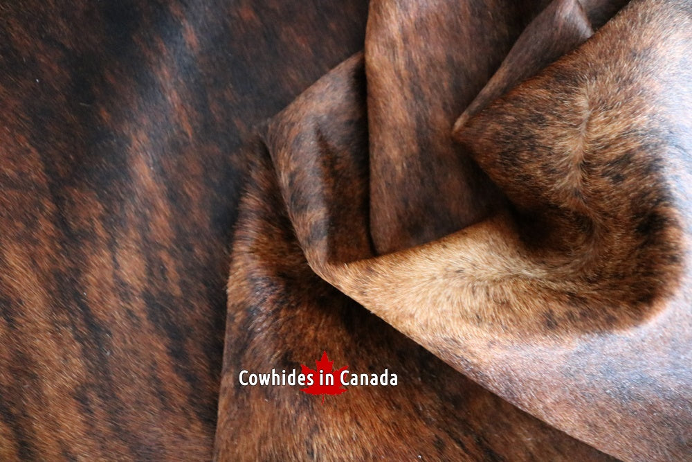 A  95019  Cowhide rug Collection Cowhides in Canada XXXL SUPER BIG SIZE