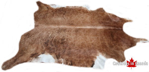 A  95020  Cowhide rug Collection Cowhides in Canada XXXL SUPER BIG SIZE