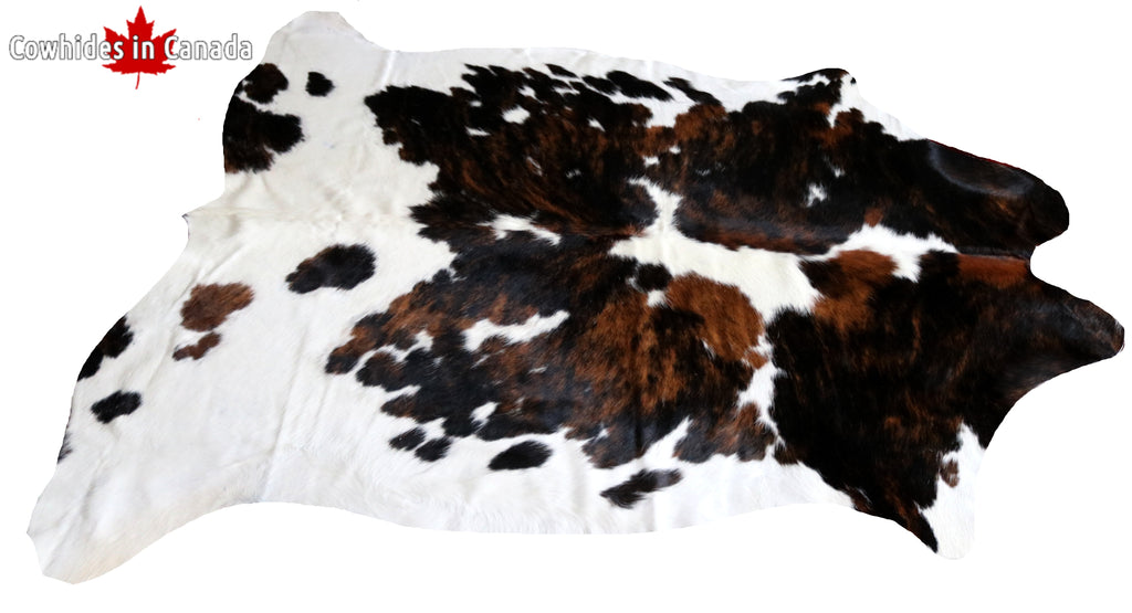 99746- Cowhide Rug -  TRICOLOR  Premium Collection