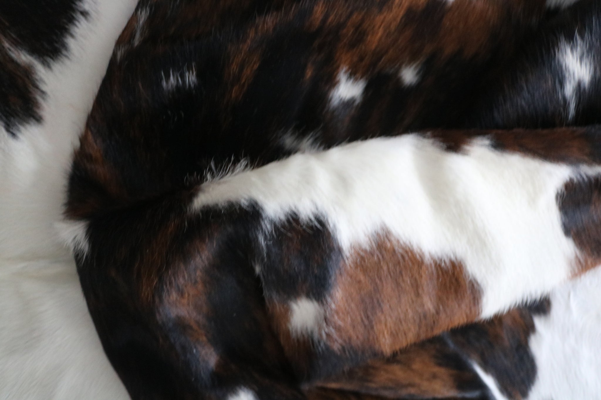 99746- Cowhide Rug -  TRICOLOR  Premium Collection