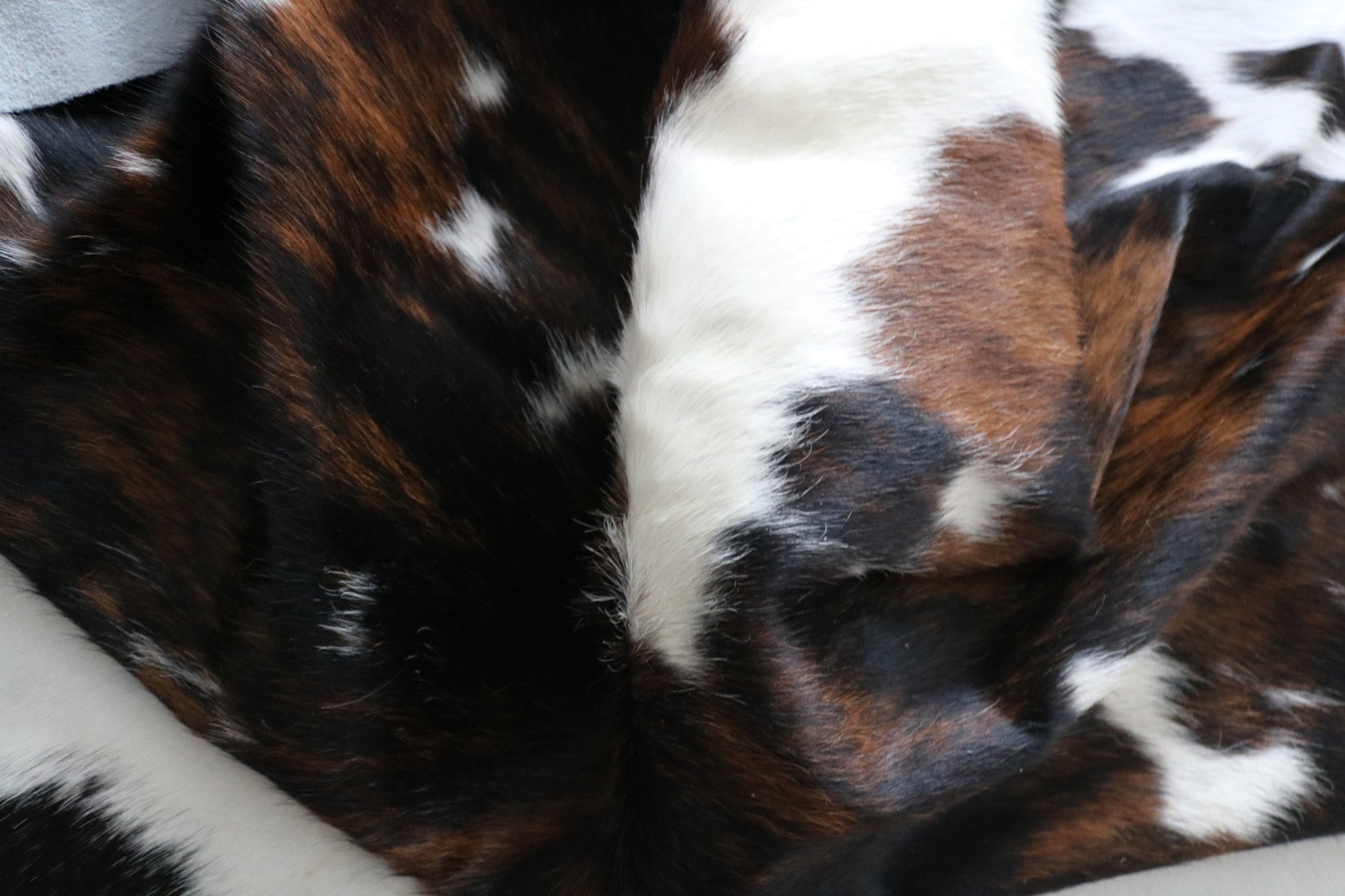 99746- Cowhide Rug -  TRICOLOR  Premium Collection