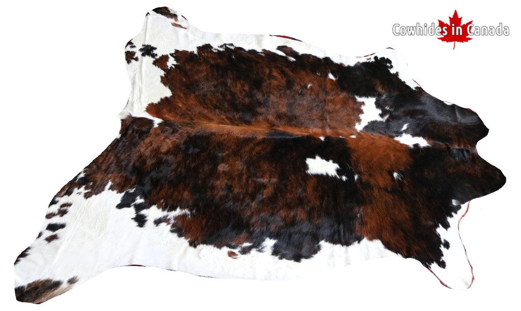 99748- Cowhide Rug -  TRICOLOR  Premium Collection