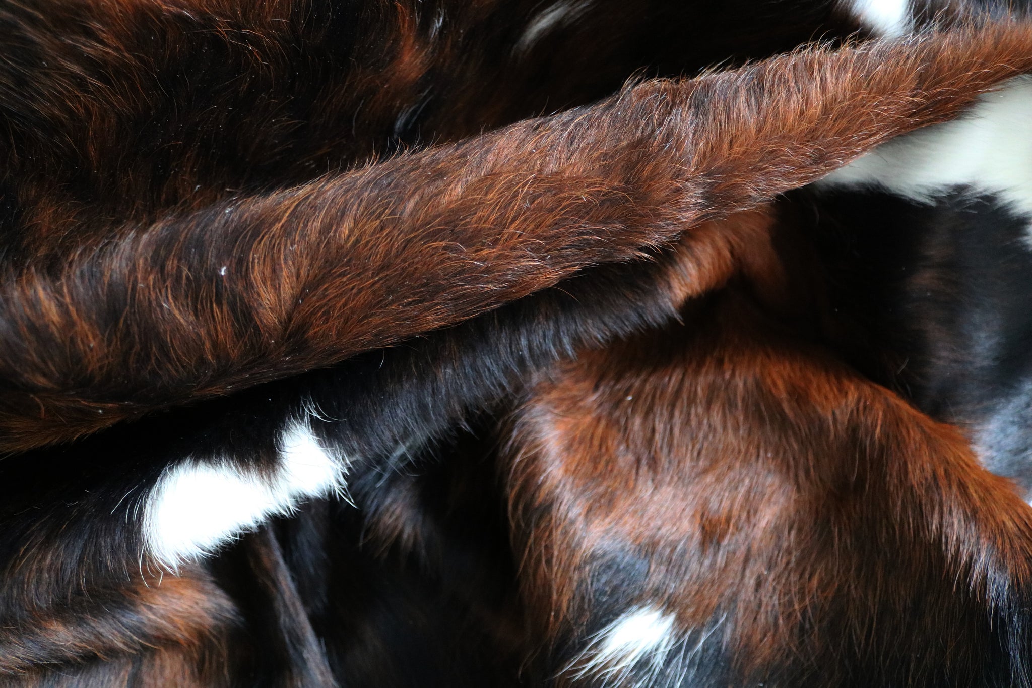 99748- Cowhide Rug -  TRICOLOR  Premium Collection