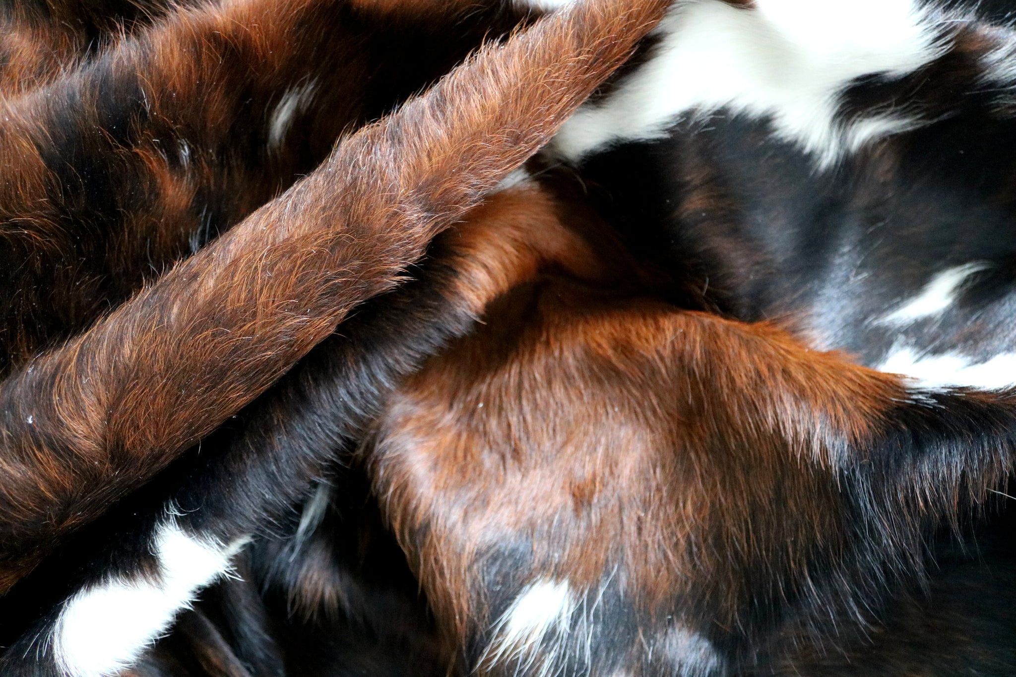 99748- Cowhide Rug -  TRICOLOR  Premium Collection