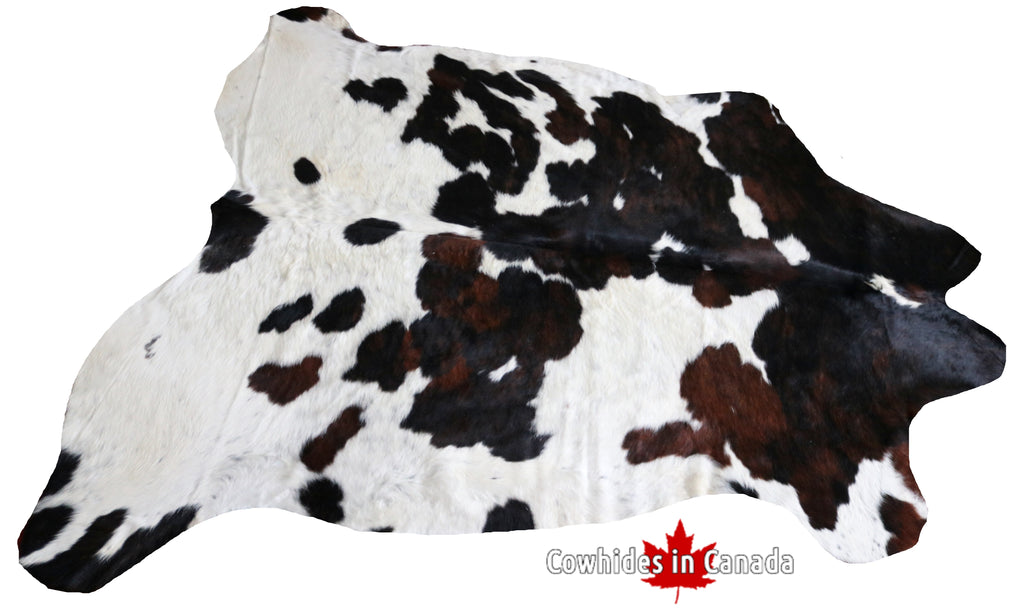 99749- Cowhide Rug -  TRICOLOR  Premium Collection