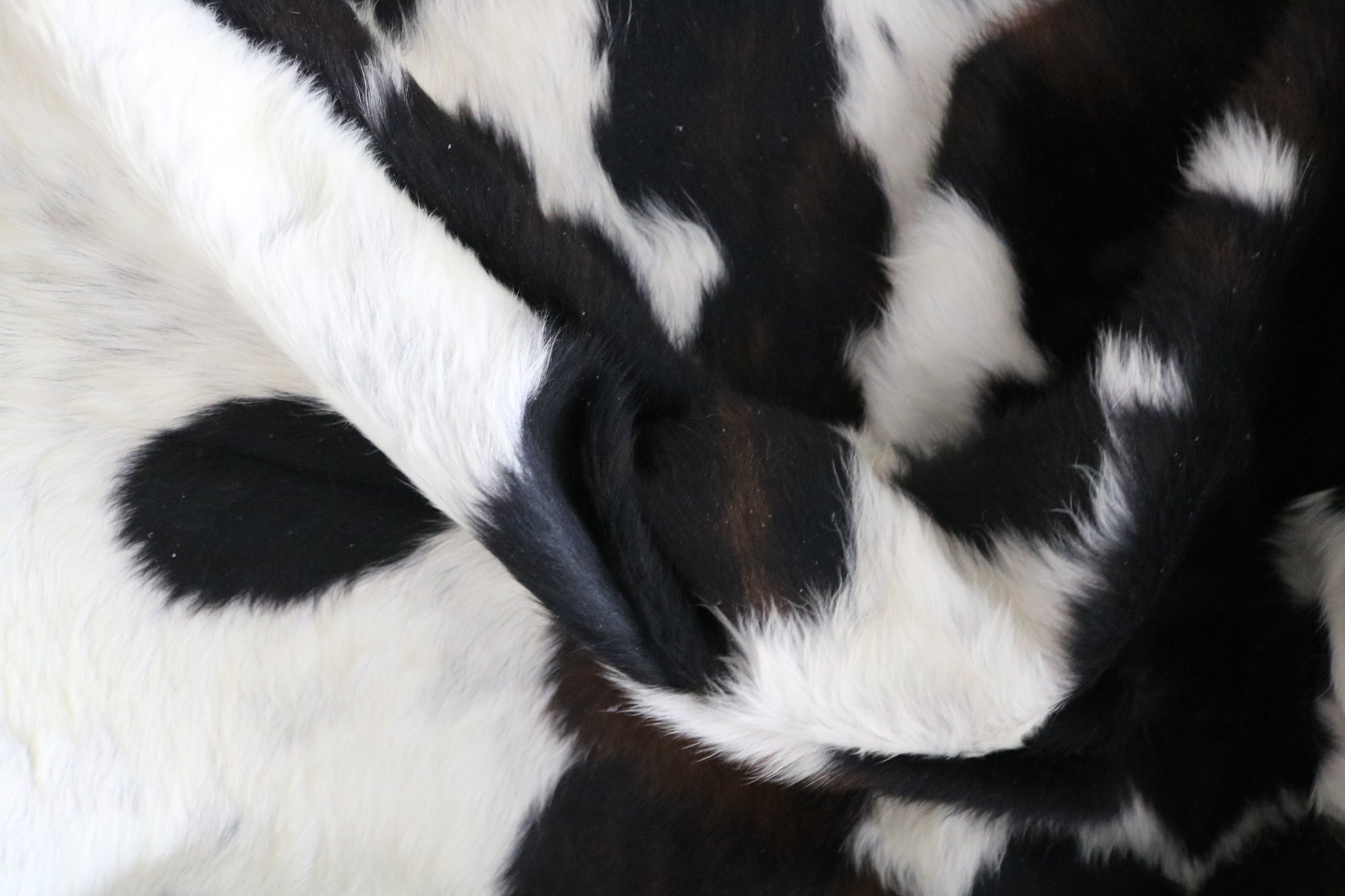 99749- Cowhide Rug -  TRICOLOR  Premium Collection