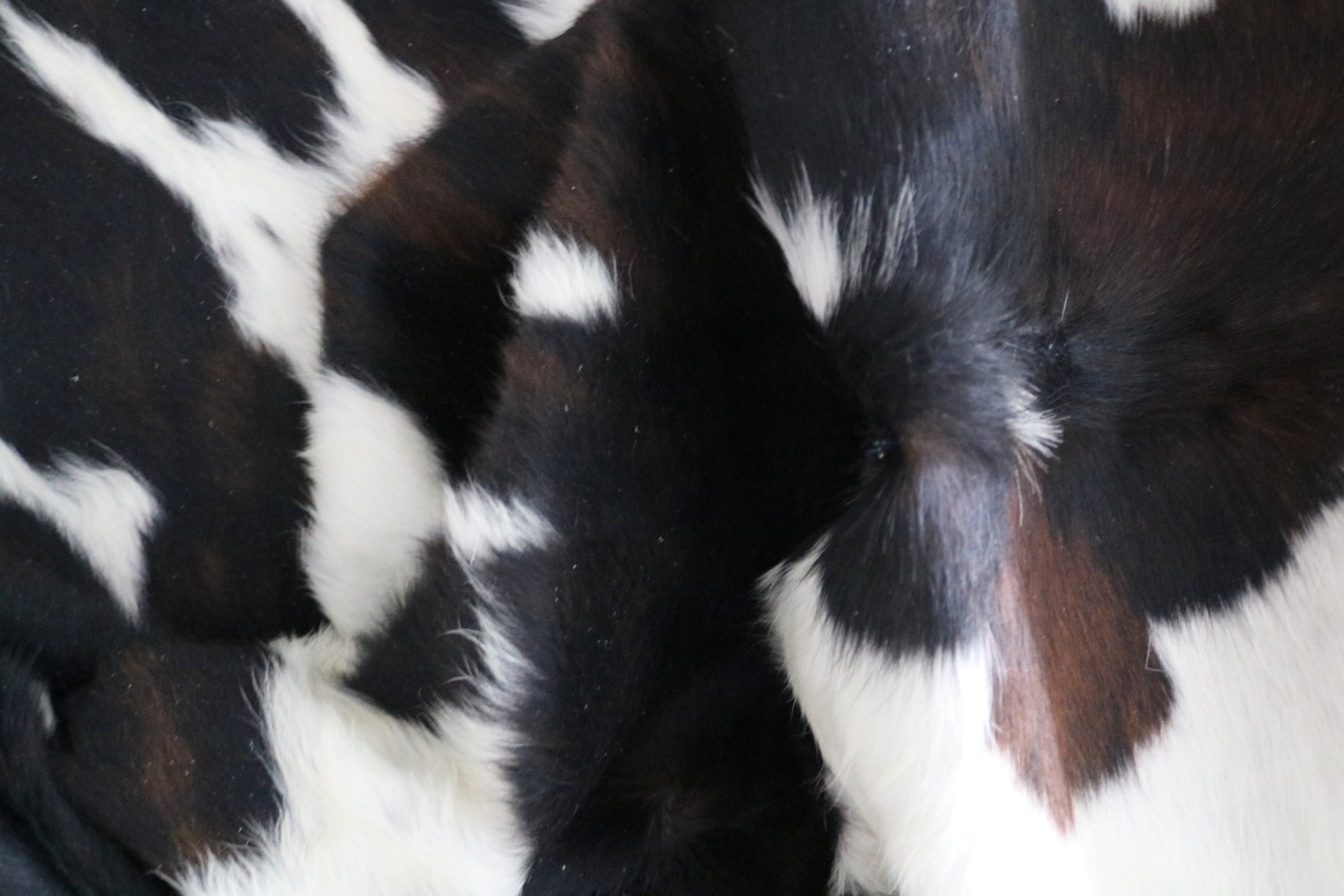 99749- Cowhide Rug -  TRICOLOR  Premium Collection