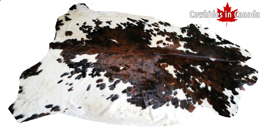 99754 Cowhide  rug TRICOLOR  - Premium  Collection  SUPER BIG SIZE XXXL