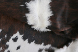 98144  Cowhide rug Collection Cowhides in Canada