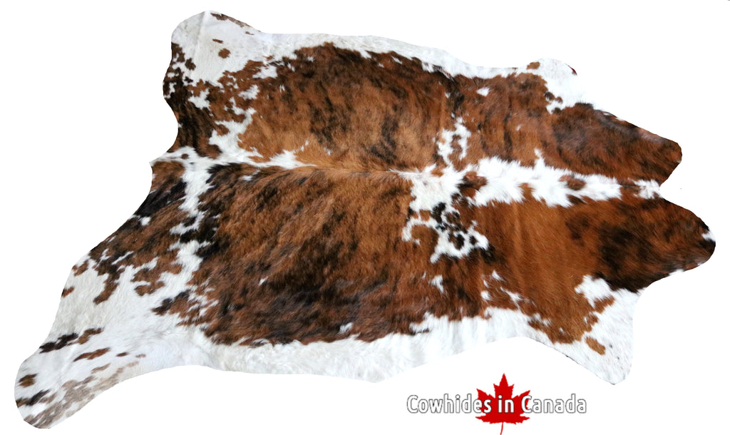 99755 Cowhide  rug TRICOLOR  - Premium  Collection