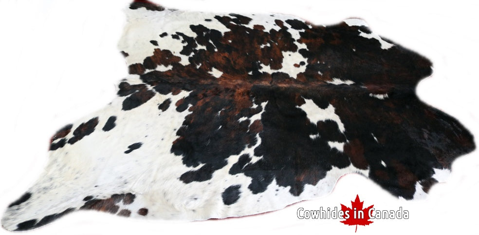 Big Real XXXL Cowhide Rug Tricolor. Premium Collection. Code 98146