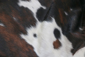 Big Real XXXL Cowhide Rug Tricolor. Premium Collection. Code 98146