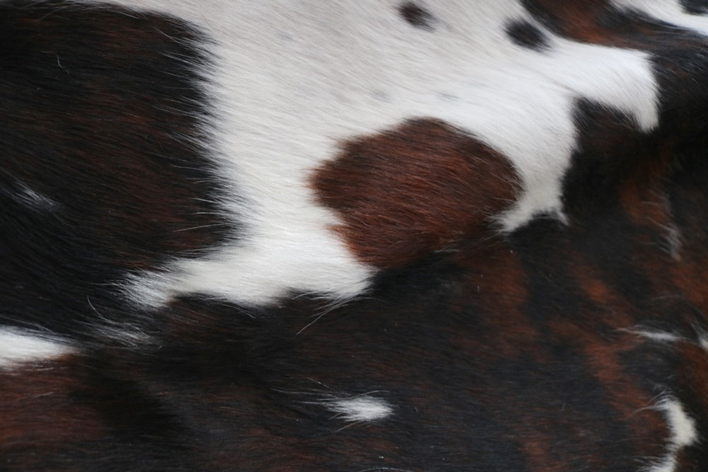 Big Real XXXL Cowhide Rug Tricolor. Premium Collection. Code 98146