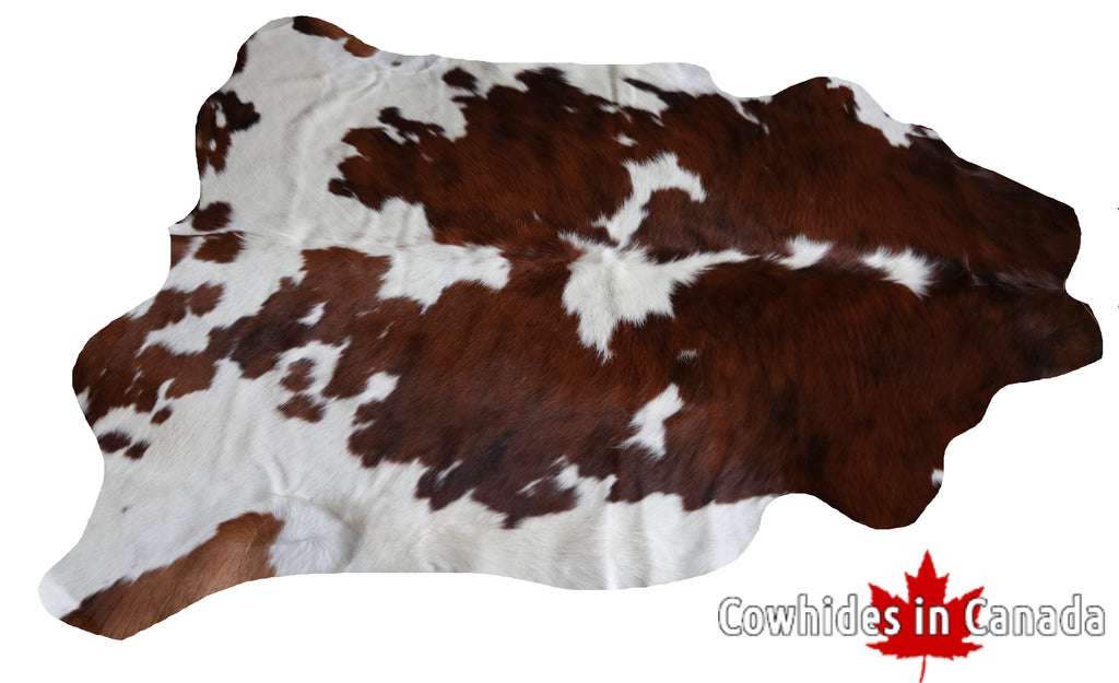 99762 Cowhide  rug TRICOLOR  - Premium  Collection