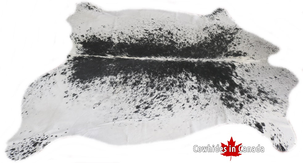 98147  Cowhide rug Collection Cowhides in Canada XXXL SUPER BIG SIZE