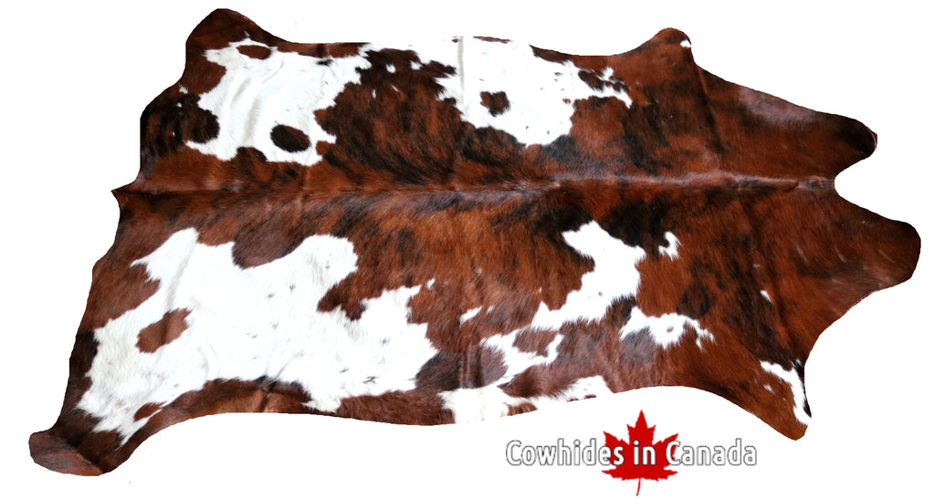 99763 Cowhide  rug TRICOLOR  - Premium  Collection