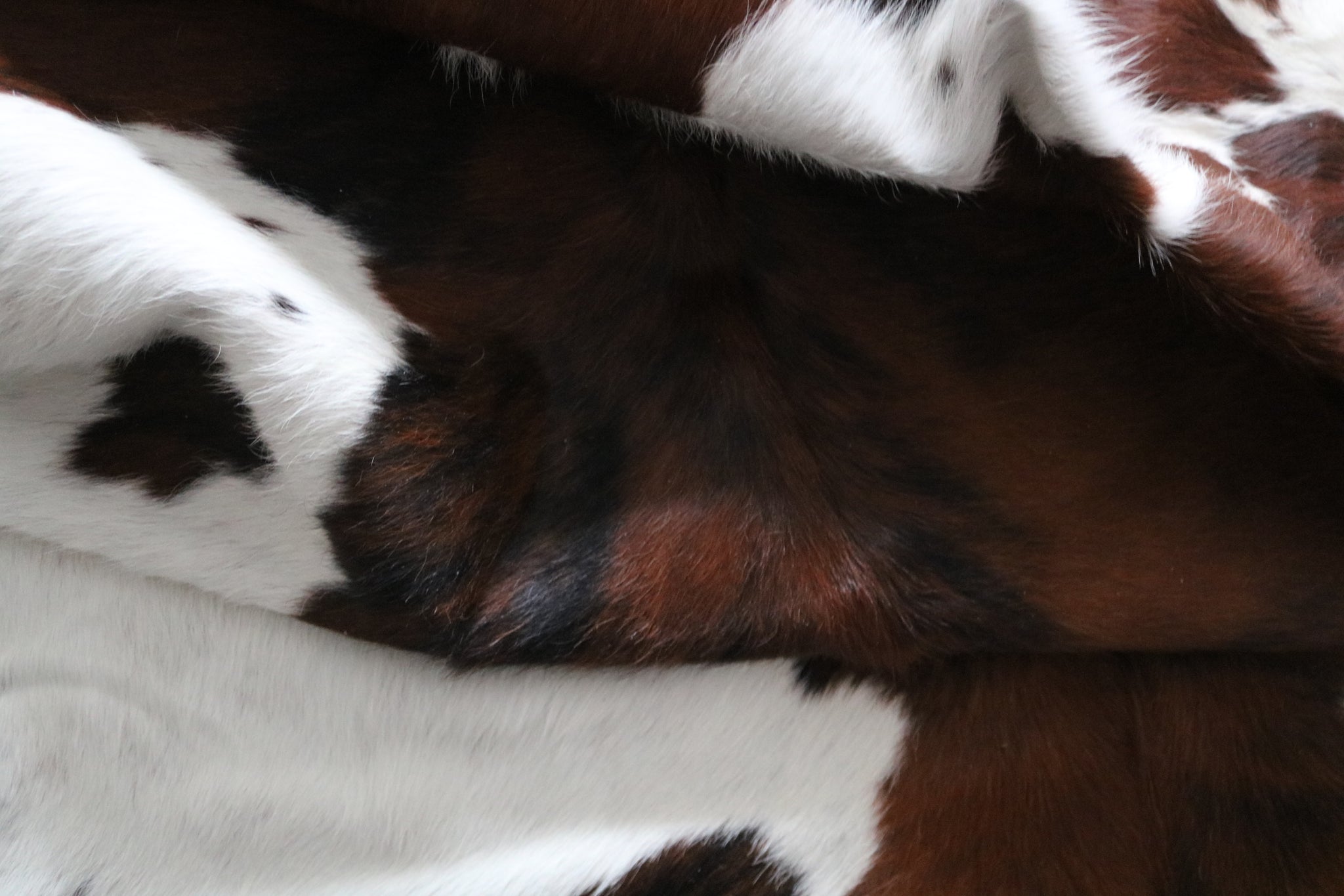 99763 Cowhide  rug TRICOLOR  - Premium  Collection