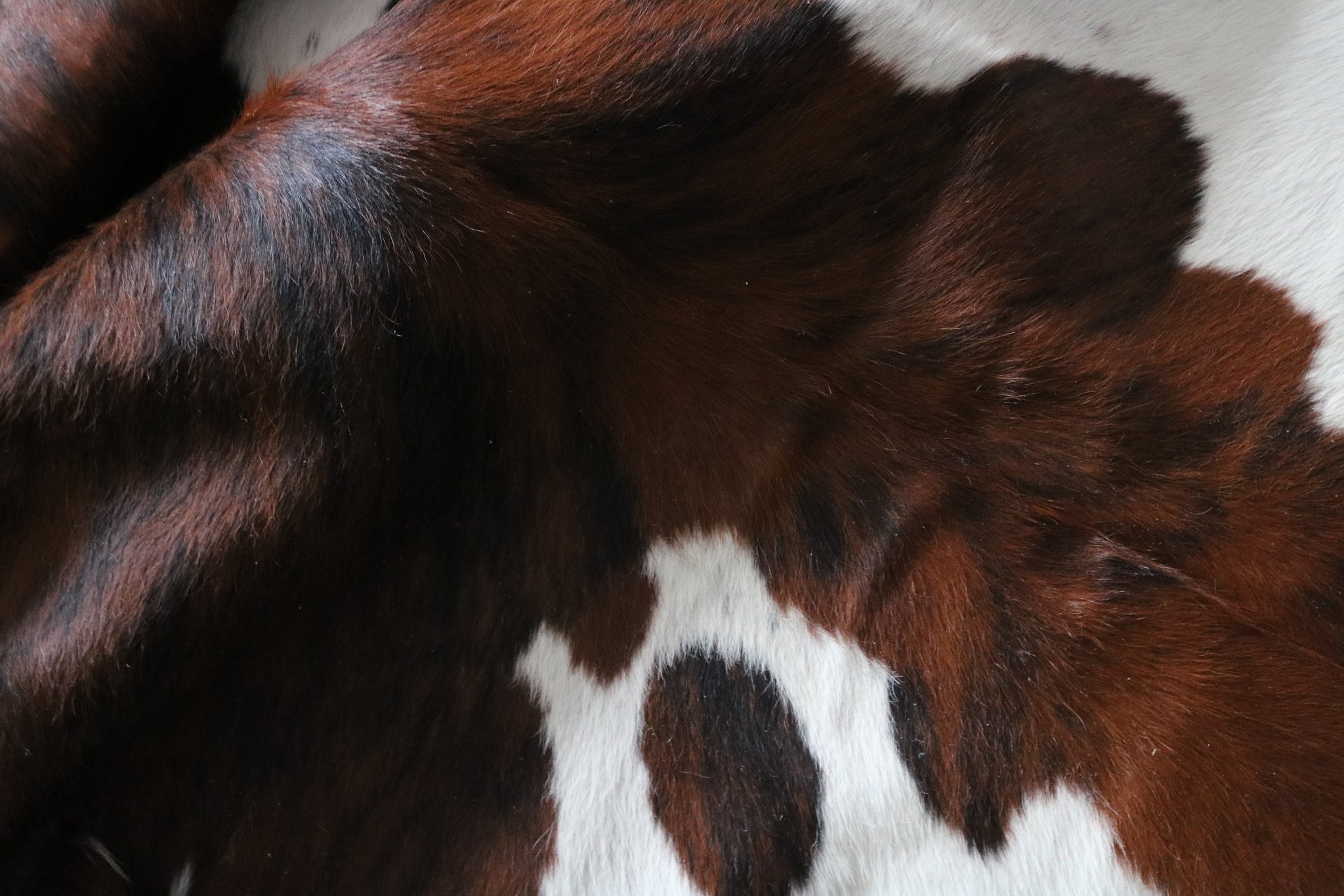 99763 Cowhide  rug TRICOLOR  - Premium  Collection