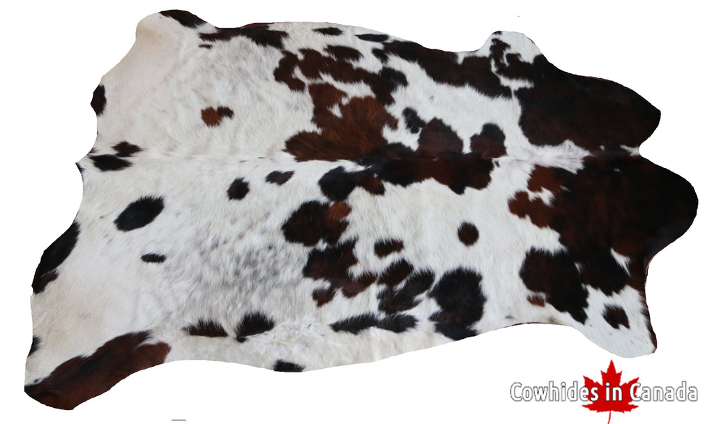 99770 Cowhide  rug TRICOLOR  - Premium  Collection