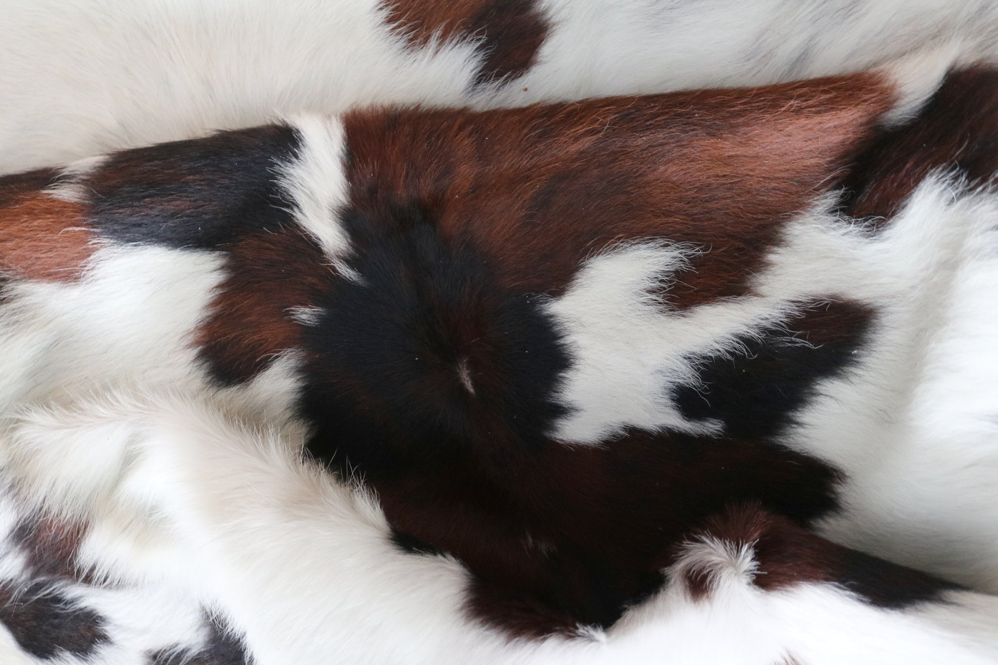 99770 Cowhide  rug TRICOLOR  - Premium  Collection