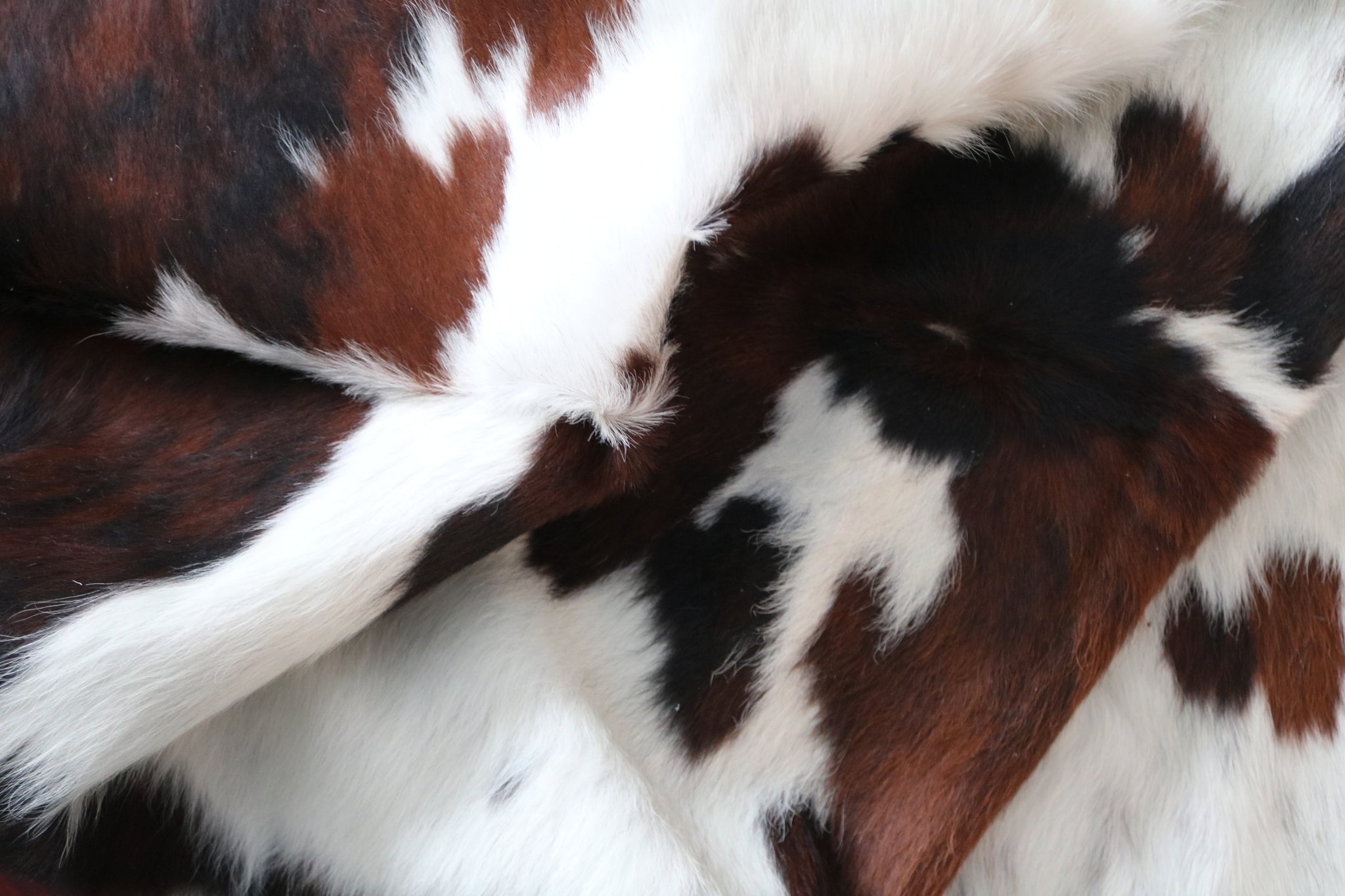 99770 Cowhide  rug TRICOLOR  - Premium  Collection