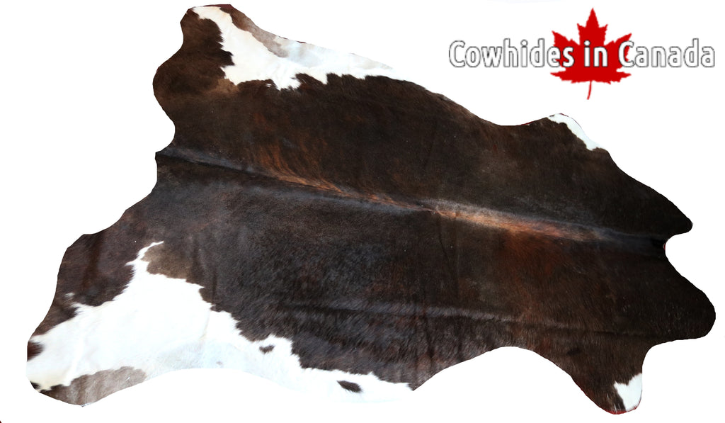 99771 Cowhide  rug TRICOLOR  - Premium  Collection