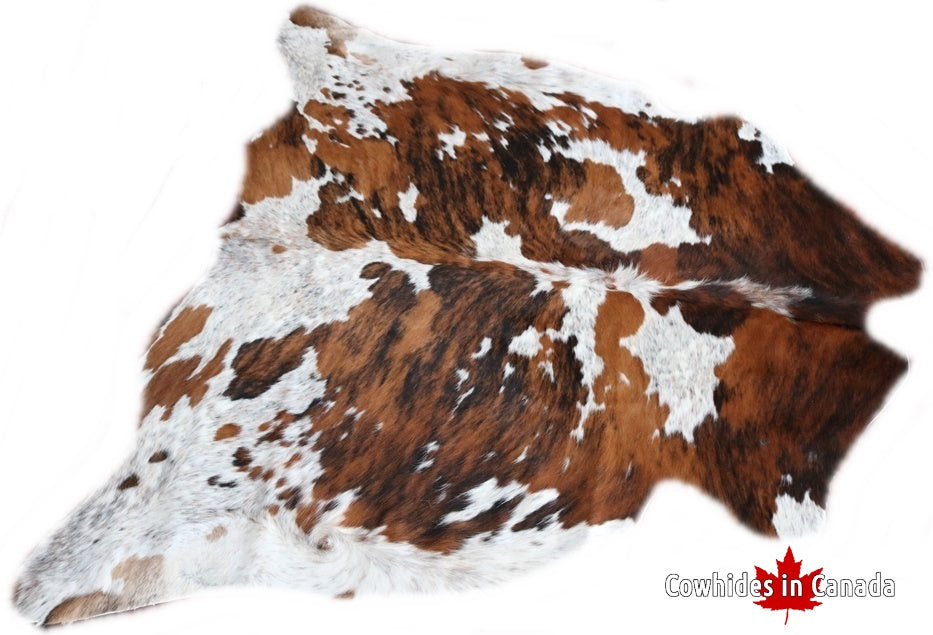 98161 Cowhide rug Collection Cowhides in Canada TRICOLOR