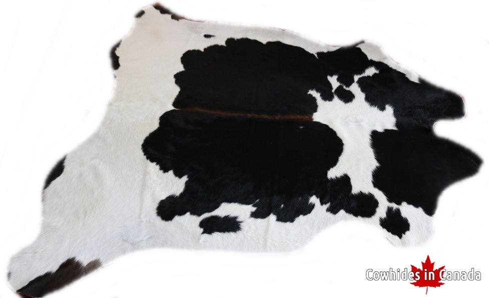 98162 Cowhide rug Collection Cowhides in Canada TRICOLOR