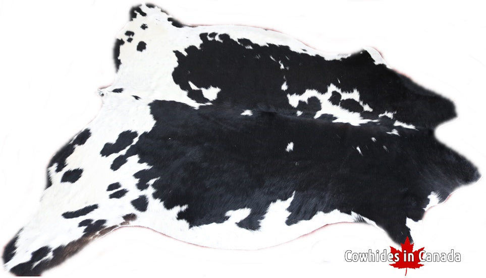 98164 Cowhide rug Collection Cowhides in Canada