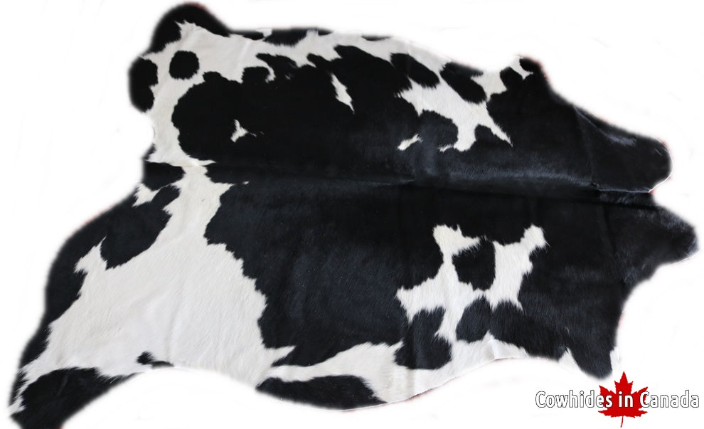 98169  Cowhide rug Collection Cowhides in Canada