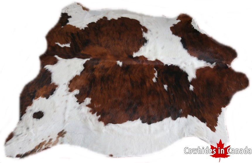 98170 Cowhide rug Collection Cowhides in Canada TRICOLOR