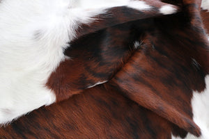 98170 Cowhide rug Collection Cowhides in Canada TRICOLOR