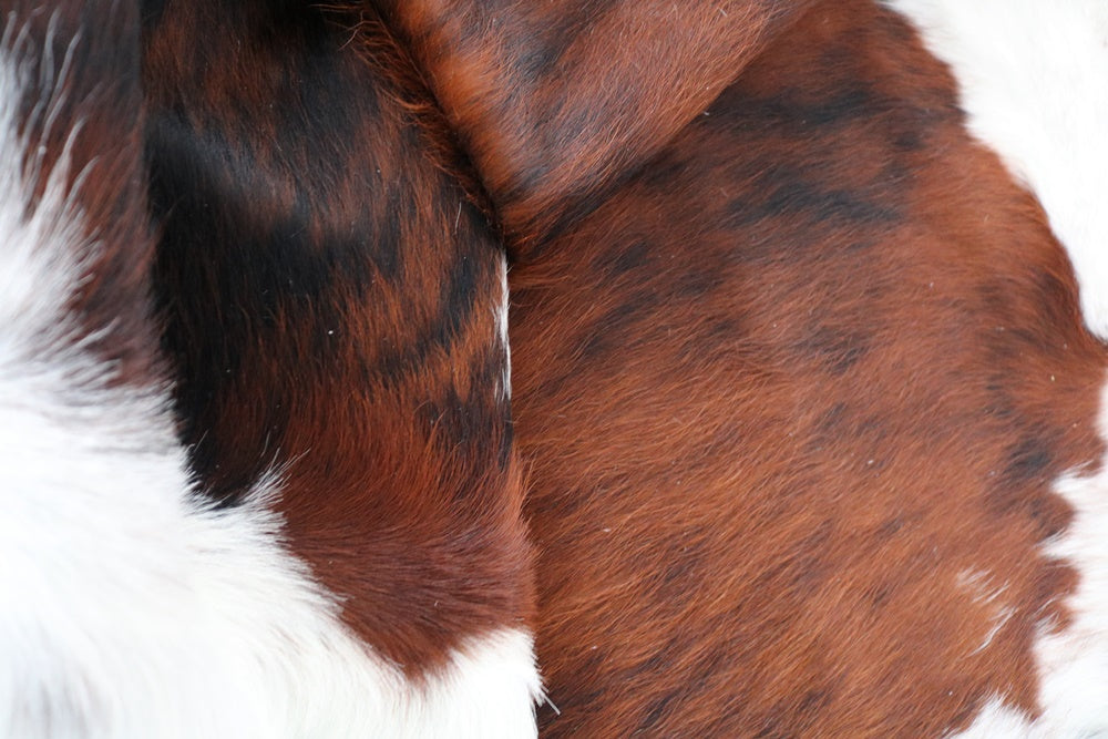 98170 Cowhide rug Collection Cowhides in Canada TRICOLOR