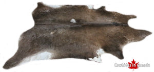 A 95040 Cowhide rug Collection Cowhides in Canada XXXL SUPER BIG SIZE