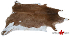 A 95044  Cowhide rug Collection Cowhides in Canada XXXL SUPER BIG SIZE