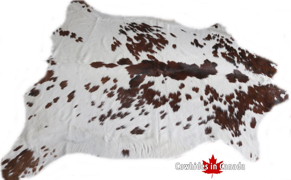 98172  Cowhide rug Collection Cowhides in Canada