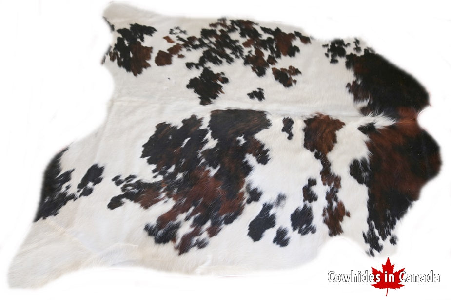 98174 Cowhide rug Collection Cowhides in Canada TRICOLOR