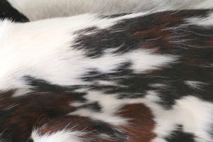 98174 Cowhide rug Collection Cowhides in Canada TRICOLOR