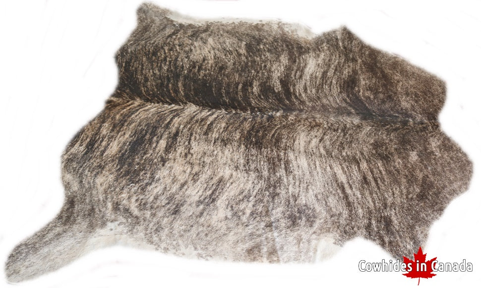 98175 Cowhide rug Collection Cowhides in Canada XXL  BRINDLE LIGHT